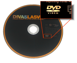 Example of how producer could show the consumer full compatibility with DVD-Video specification.