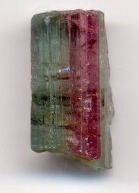 Bi-colored tourmaline crystal, 0.8 inches long (2 cm).