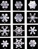 Snowflakes by Wilson Bentley, 1902