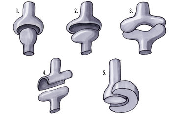 Joints:1-ball & socket; 2-ellipsoid; 3-saddle; 4-hinge; 5-pivot;