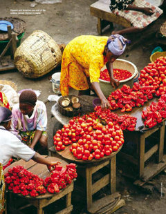 Oshodi Market in Lagos