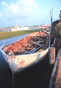 Derelict: a ship's lifeboat, built of steel and rotting away in the wetlands of Folly Island, North Carolina